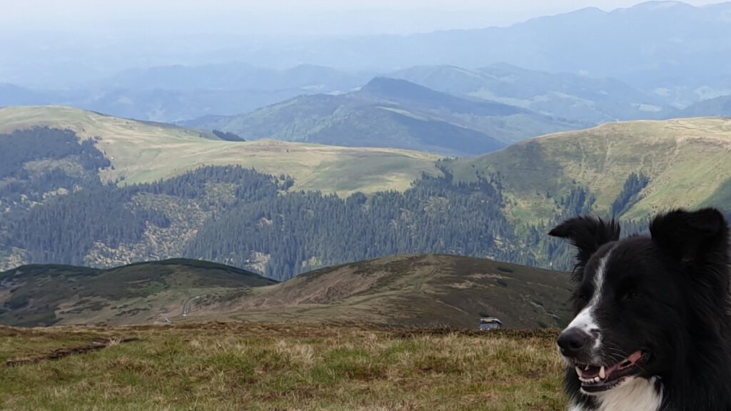 Roemenië – foto 5